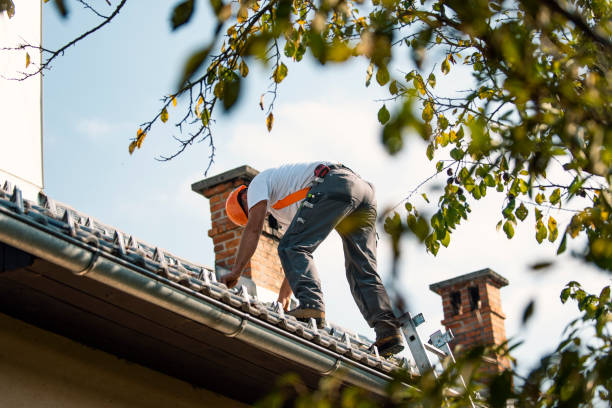 Best Metal Roofing Contractor  in Newport, RI